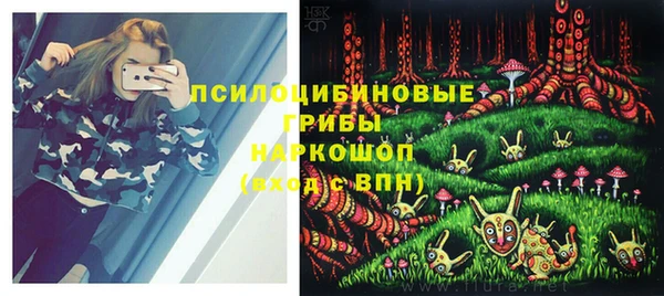 крисы Алзамай