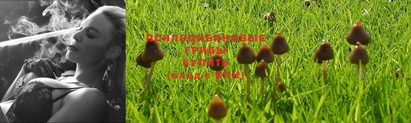 герыч Абинск