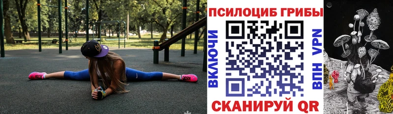 Псилоцибиновые грибы Psilocybine cubensis  дарнет шоп  ОМГ ОМГ ONION  Новоаннинский 